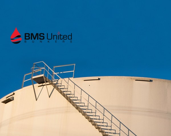 BMS_MSTAT